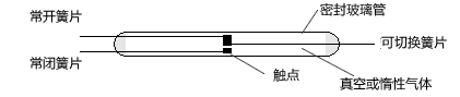 Form C (單刀雙擲 (SPDT) 三個簧片的磁簧開關的基本結構。