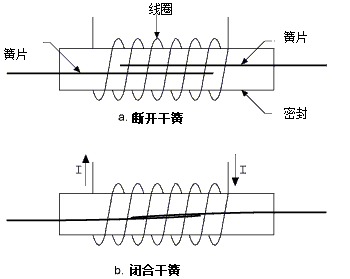 干簧继电器：电流流经线圈而产生磁场，进而将两个磁簧的触点拉在一起