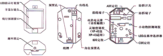 红外线检测器（防盗报警器/红外线报警器）XP-42内部结构